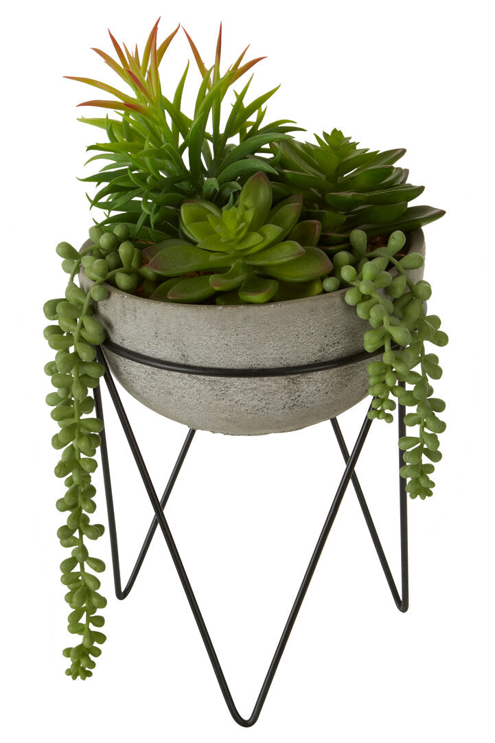 Fiori Mixed Succulent with Metal Stand