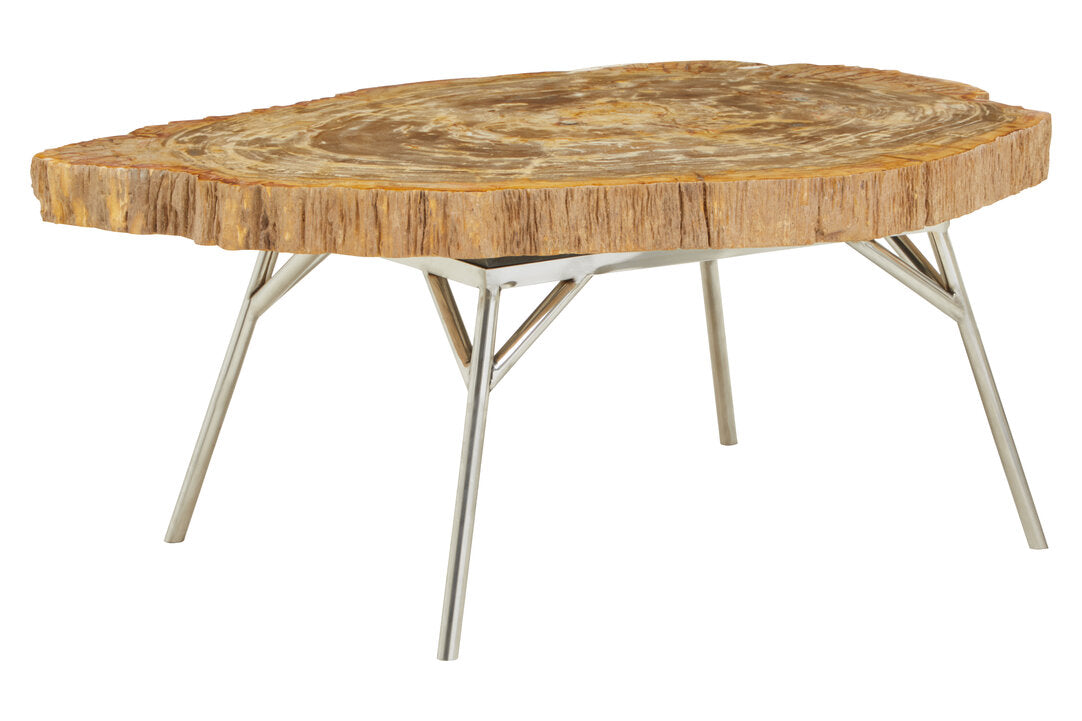 Relic Petrified Wood Coffee Table