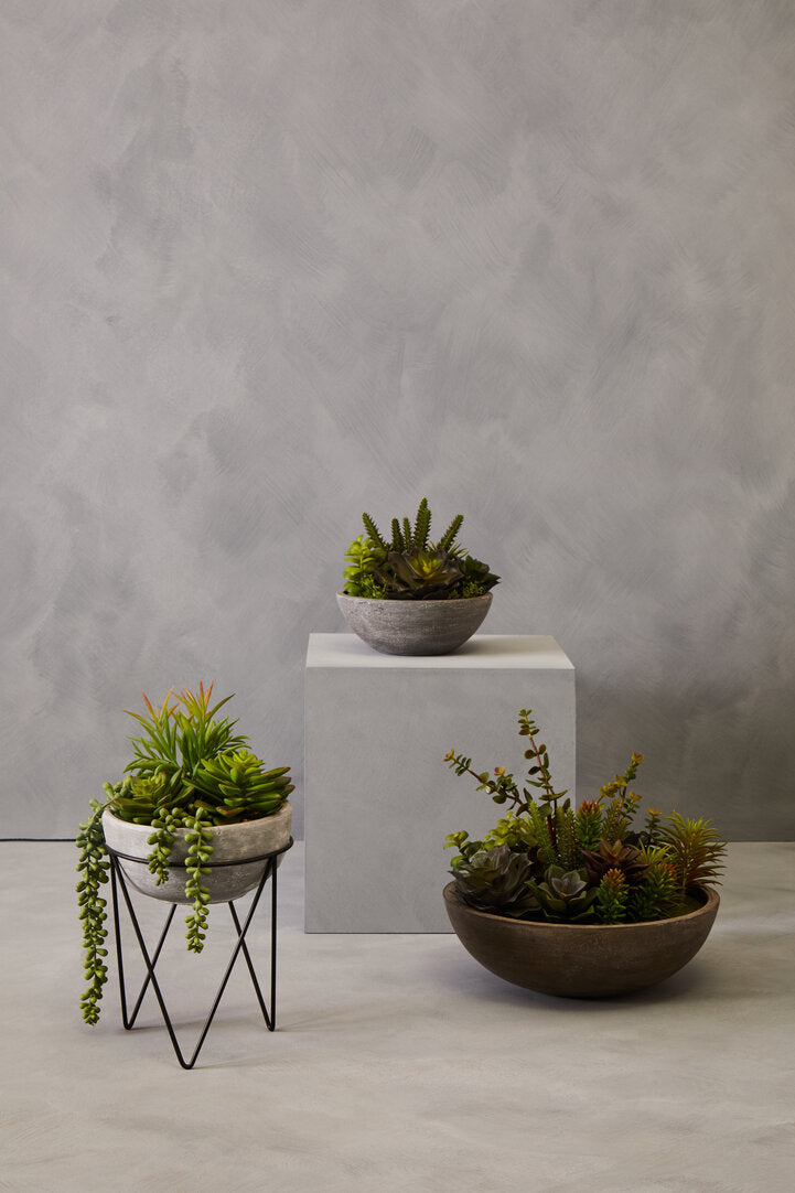 Fiori Mixed Succulent with Metal Stand
