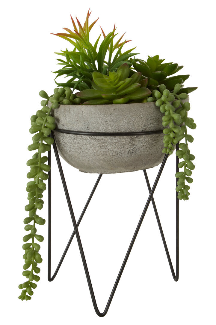 Fiori Mixed Succulent with Metal Stand