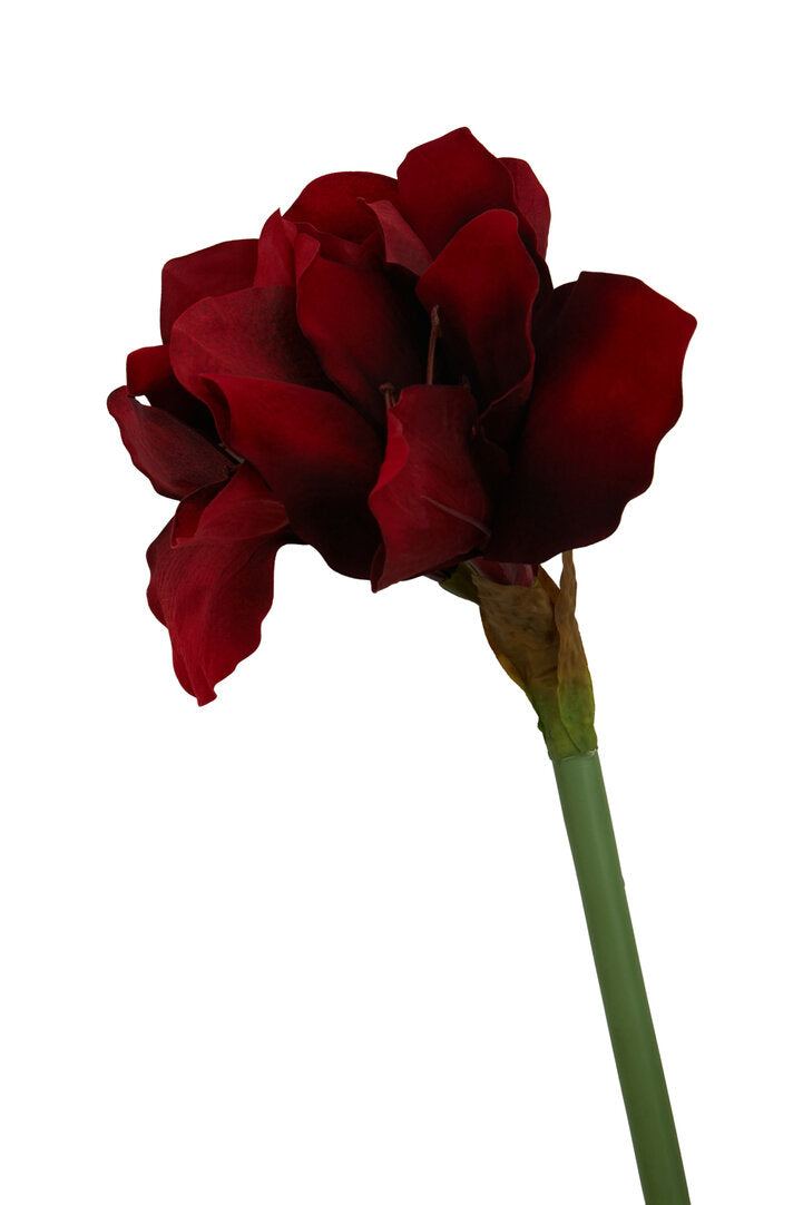 Fiori 72cm Amarylilis Stem Burgundy