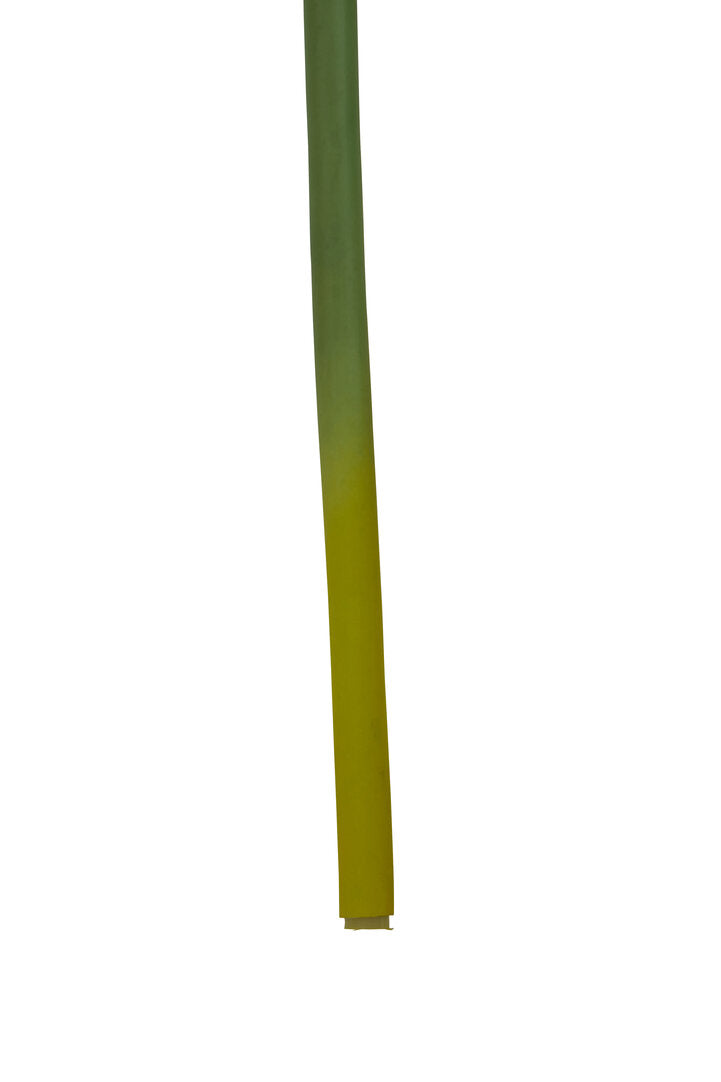 Fiori 72cm Amarylilis Stem Burgundy