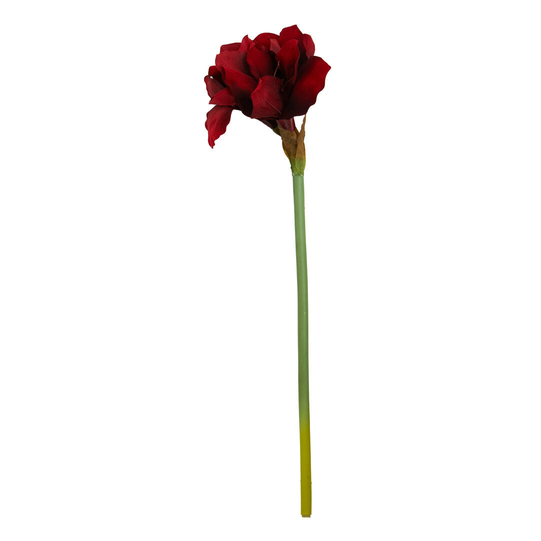 Fiori 72cm Amarylilis Stem Burgundy