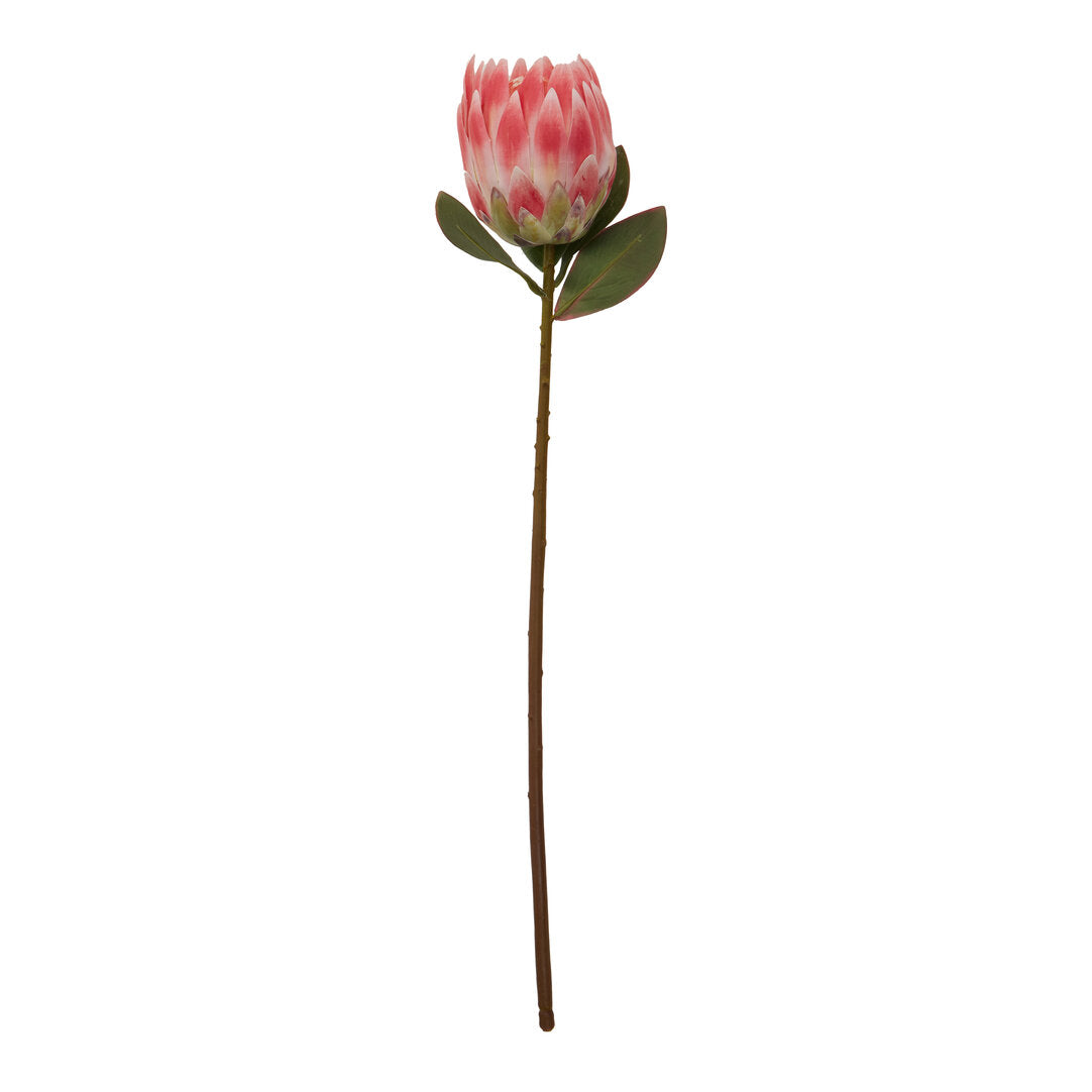 Fiori 72cm Amarylilis Stem Burgundy