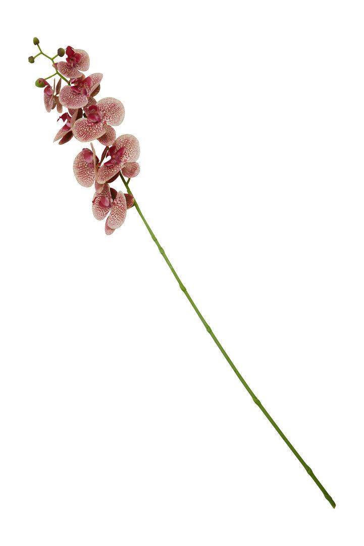 Fiori Artificial flowers 100cm Spray Pink Orchid