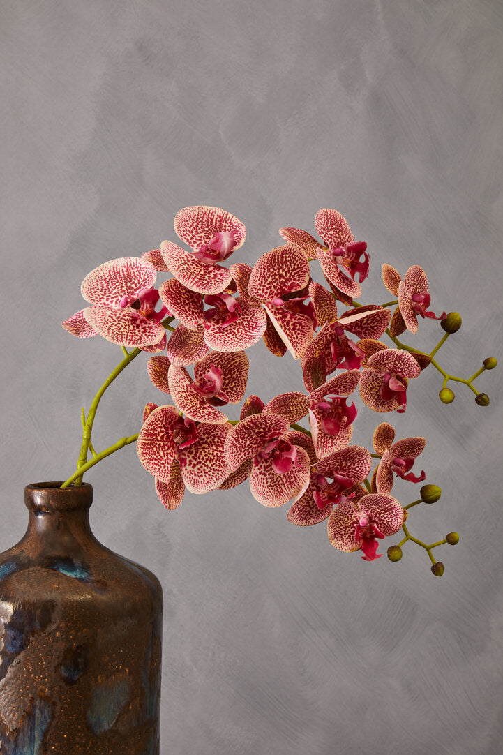 Fiori Artificial flowers 100cm Spray Pink Orchid
