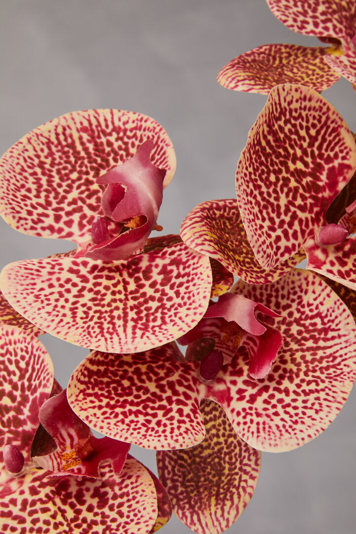 Fiori Artificial flowers 100cm Spray Pink Orchid