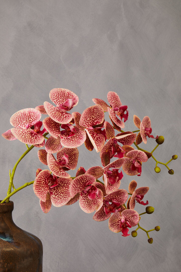 Fiori Artificial flowers 100cm Spray Pink Orchid