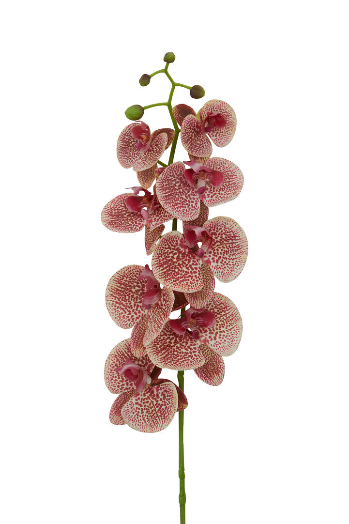 Fiori Artificial flowers 100cm Spray Pink Orchid