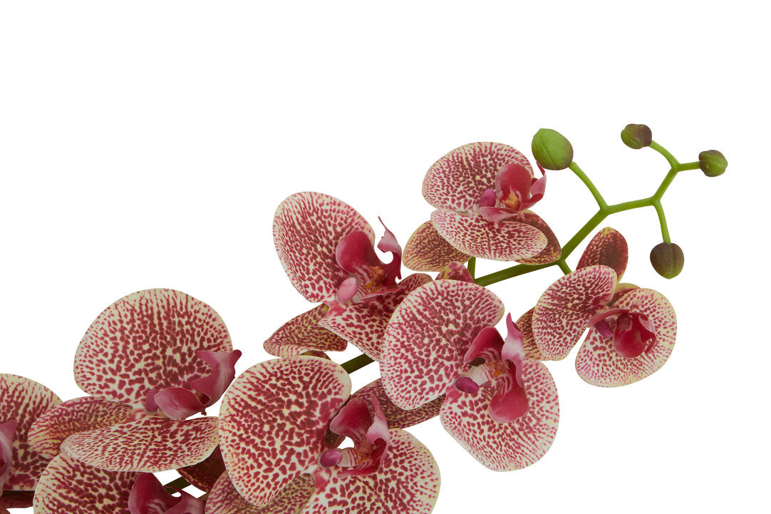 Fiori Artificial flowers 100cm Spray Pink Orchid