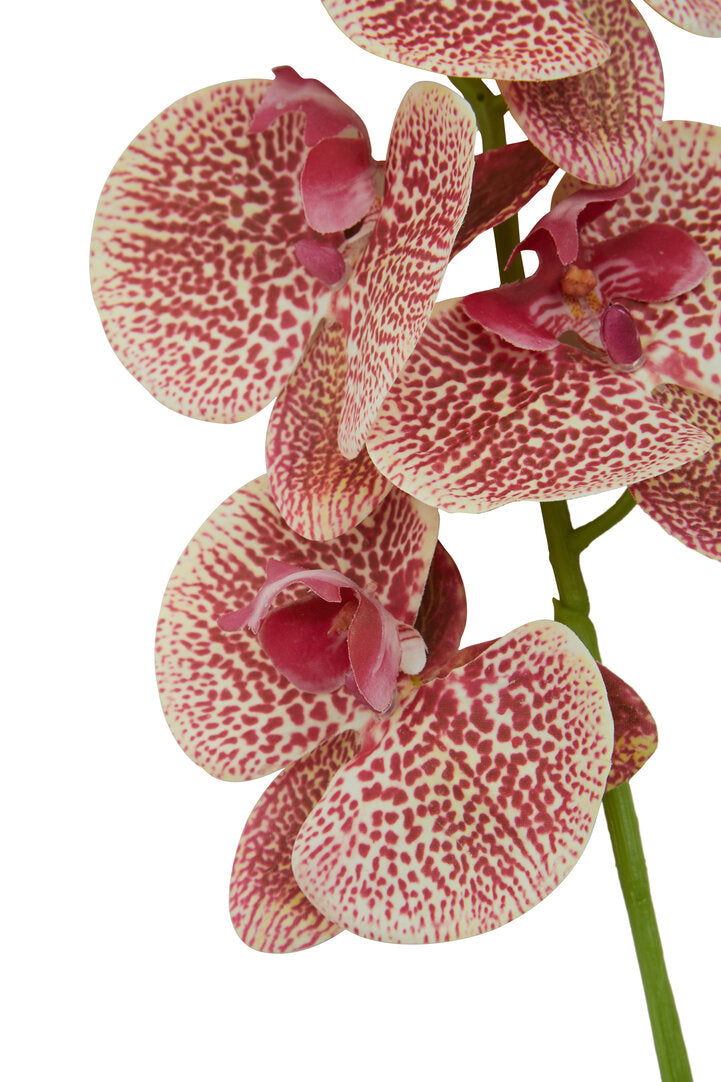 Fiori Artificial flowers 100cm Spray Pink Orchid