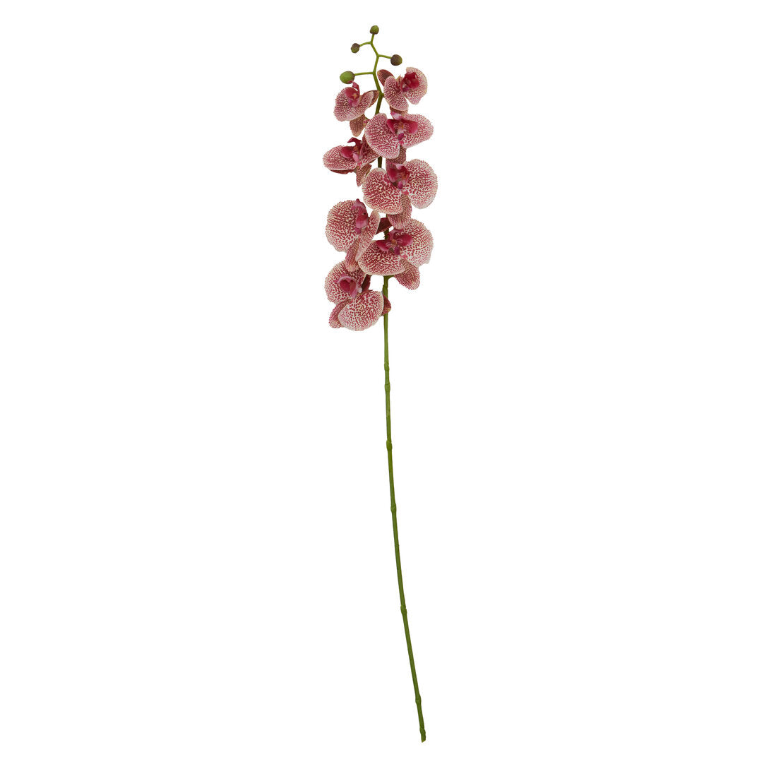 Fiori Artificial flowers 100cm Spray Pink Orchid