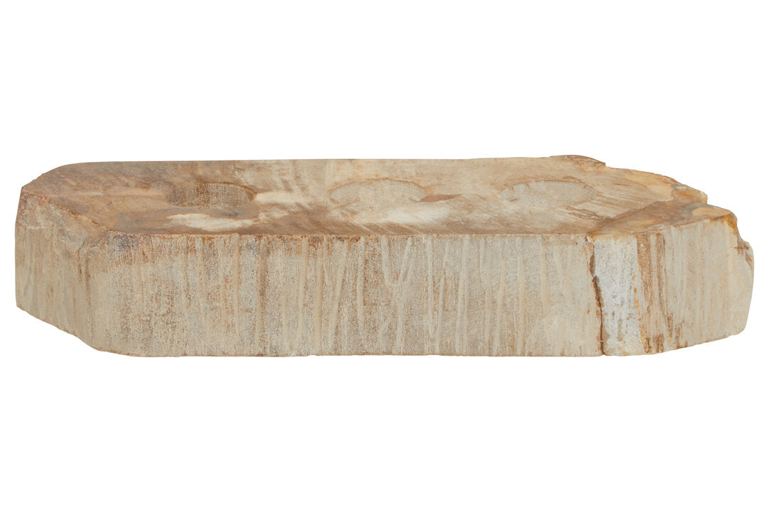 Relic Petrified Wood 3 Tealight Holder