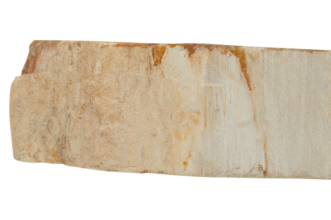 Relic Petrified Wood 3 Tealight Holder