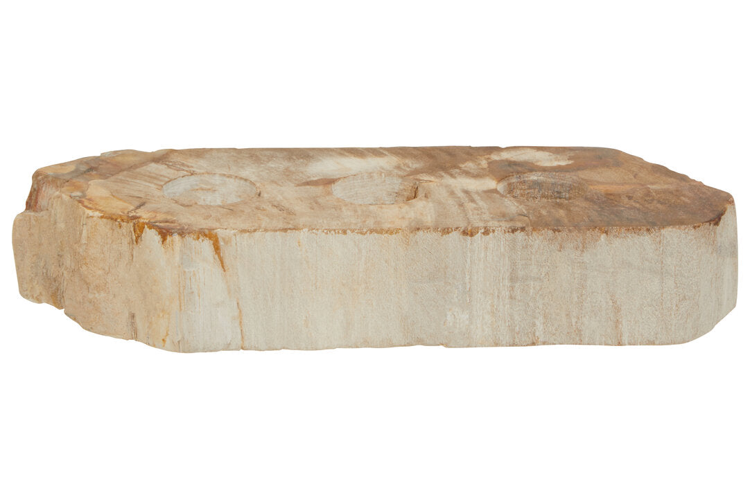 Relic Petrified Wood 3 Tealight Holder