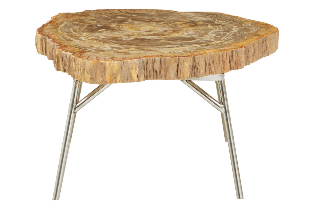 Relic Petrified Wood Coffee Table