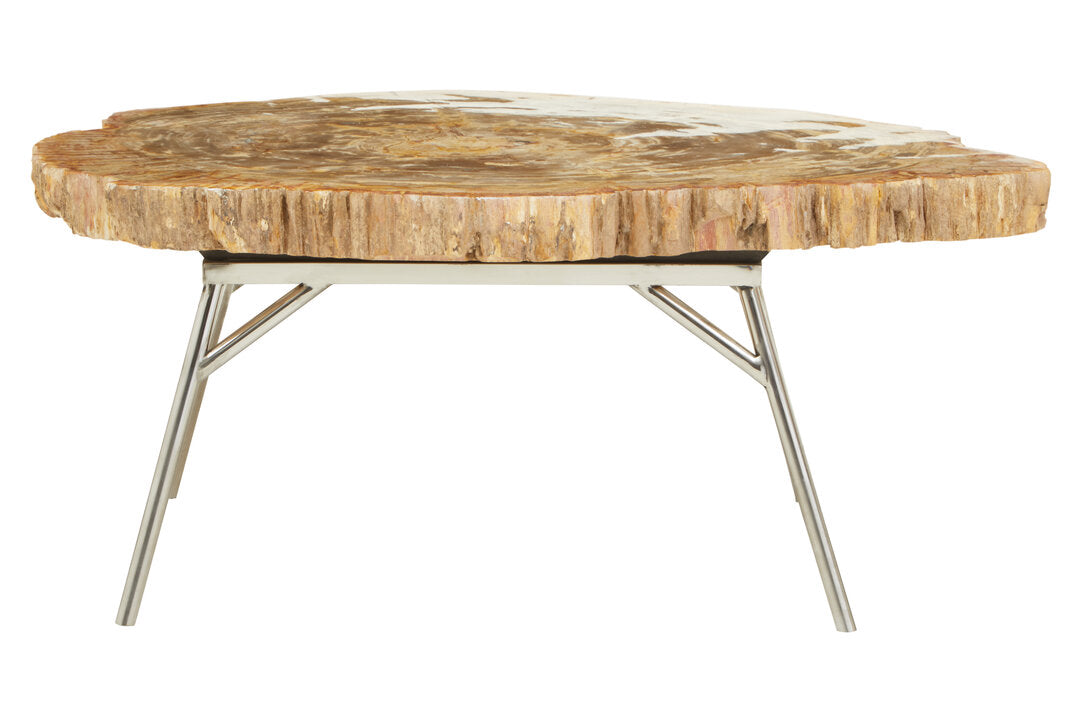 Relic Petrified Wood Coffee Table