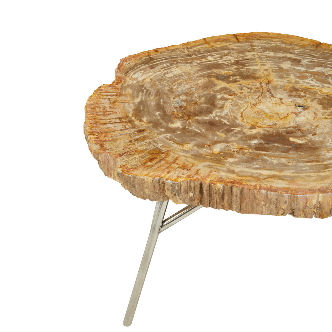 Relic Petrified Wood Coffee Table