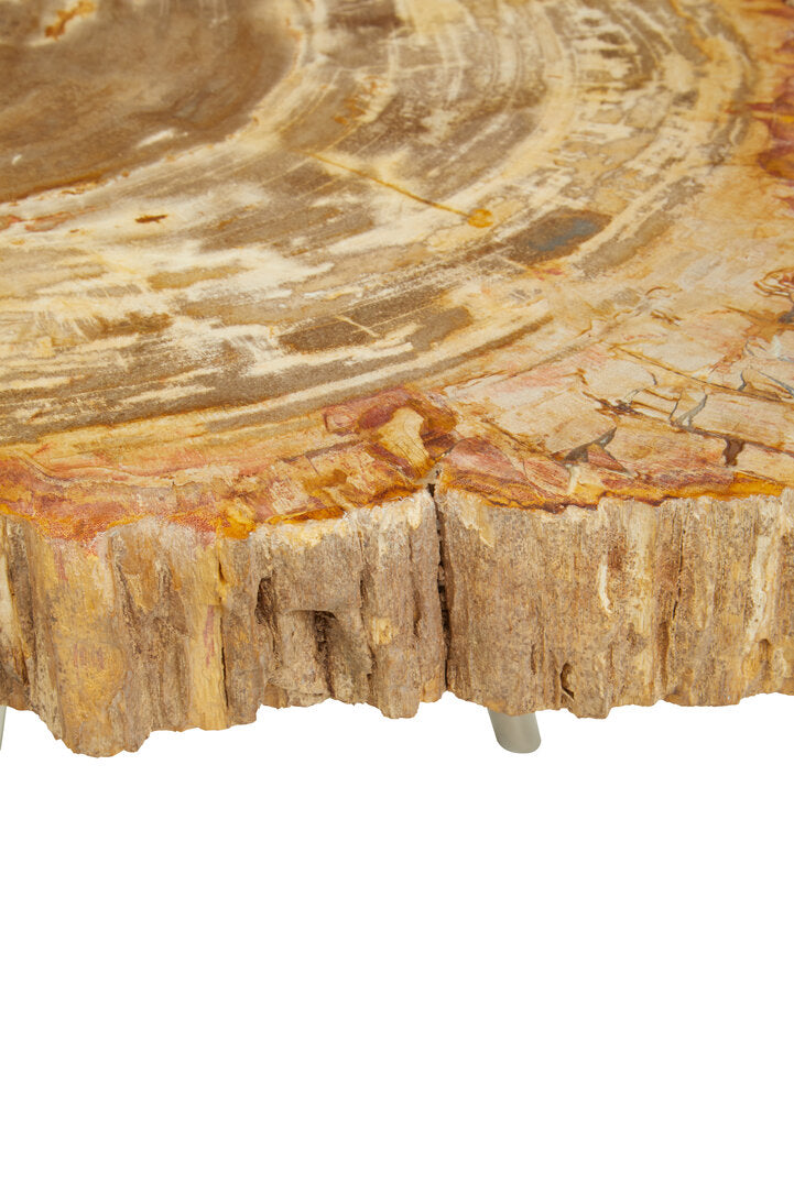 Relic Petrified Wood Coffee Table