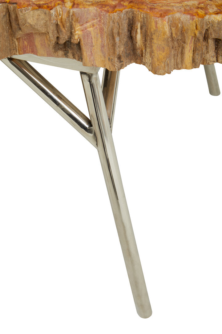 Relic Petrified Wood Coffee Table