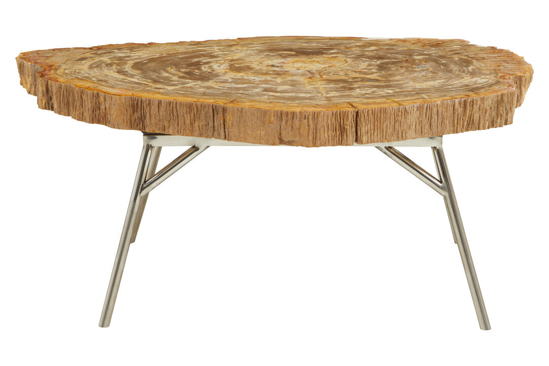 Relic Petrified Wood Coffee Table