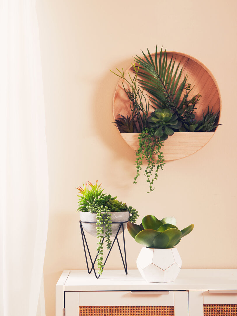 Fiori Mixed Succulent with Metal Stand