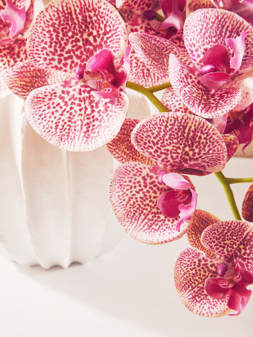 Fiori Artificial flowers 100cm Spray Pink Orchid