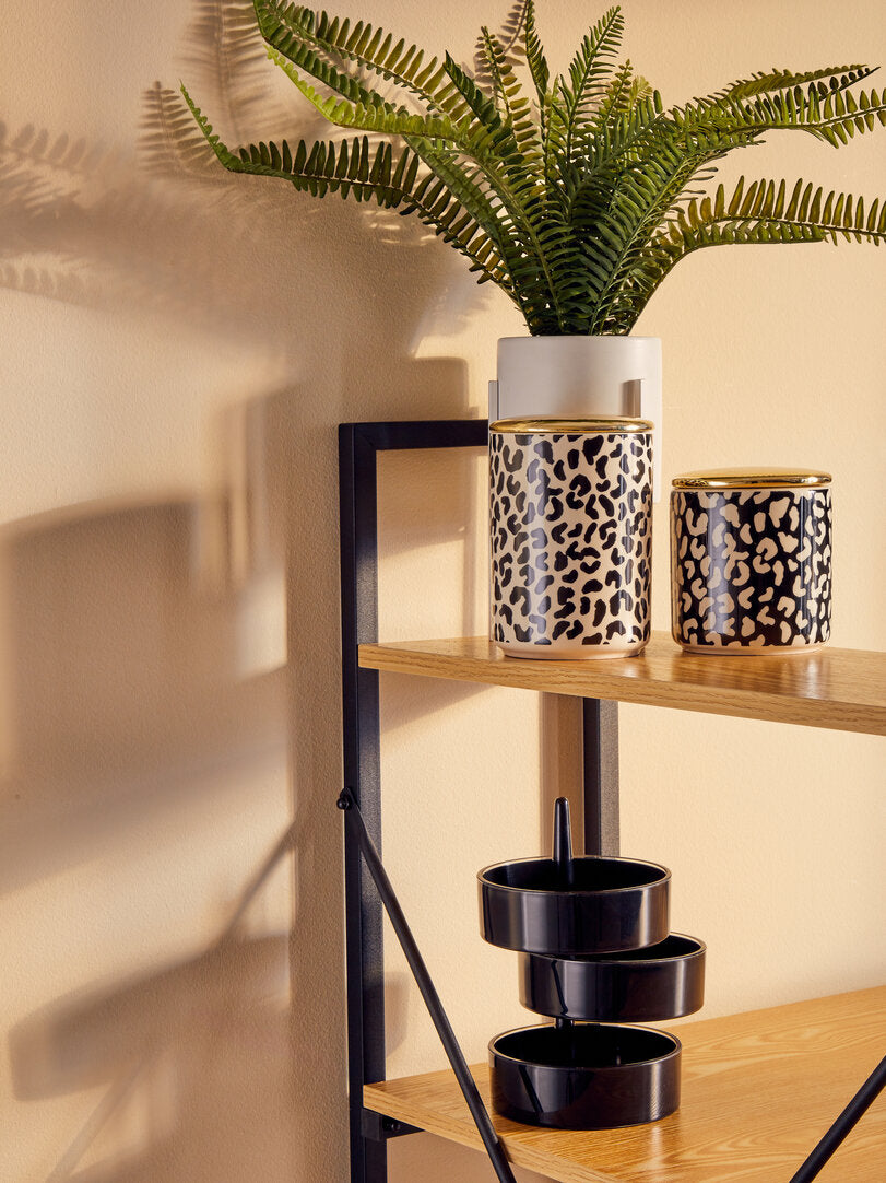 Fiori Fern with White Cement and Iron Pot