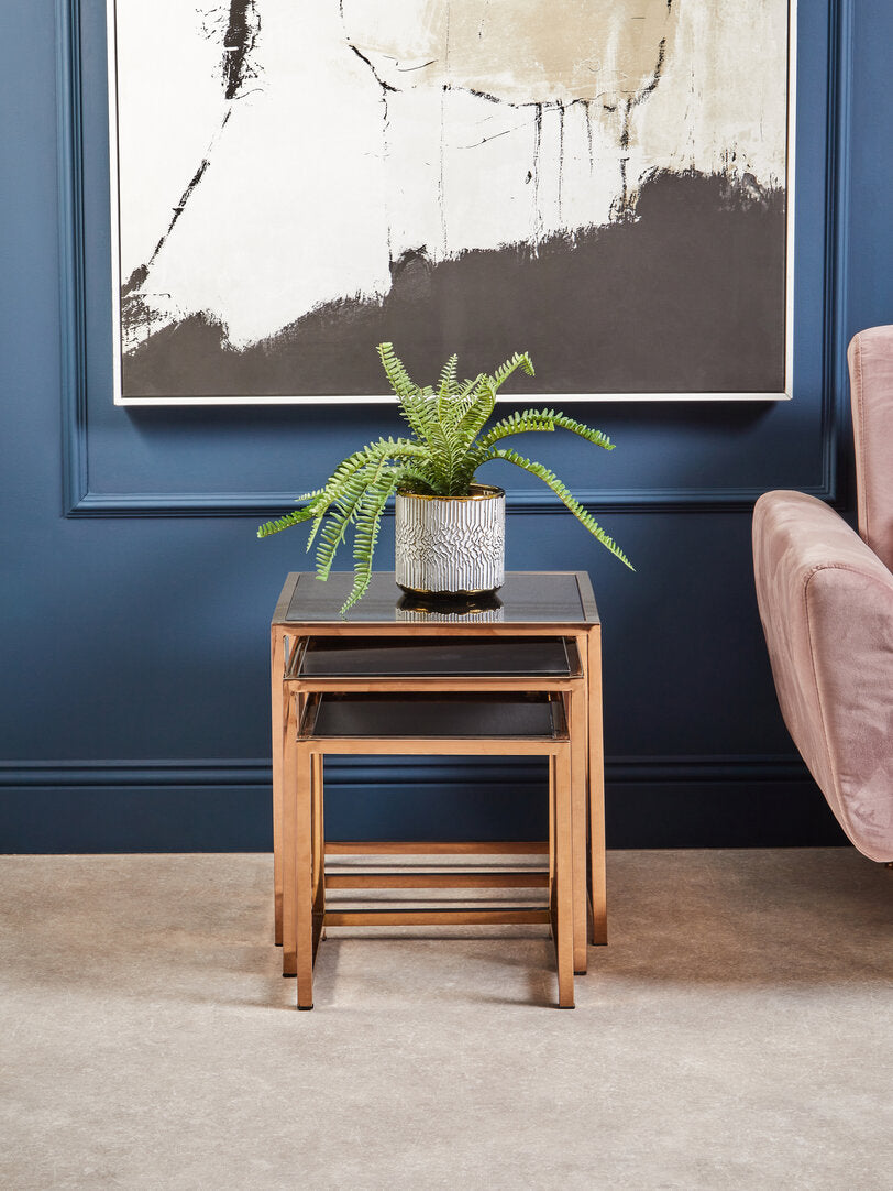 Fiori Fern with White Cement and Iron Pot