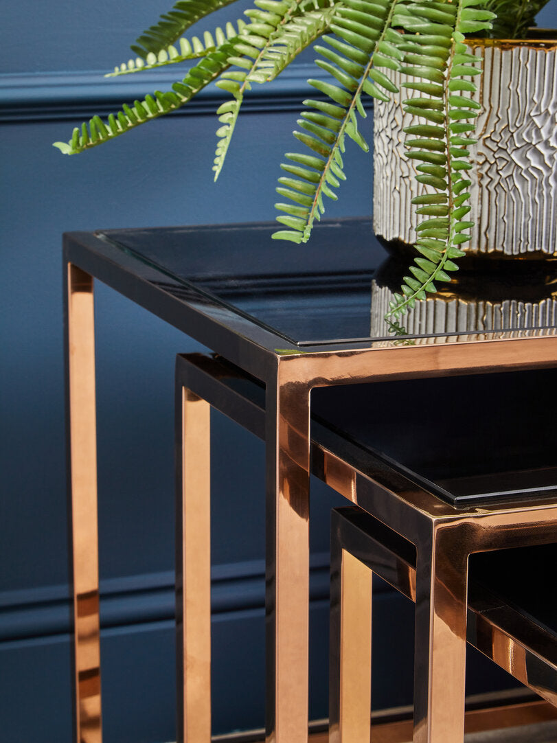Fiori Fern with White Cement and Iron Pot