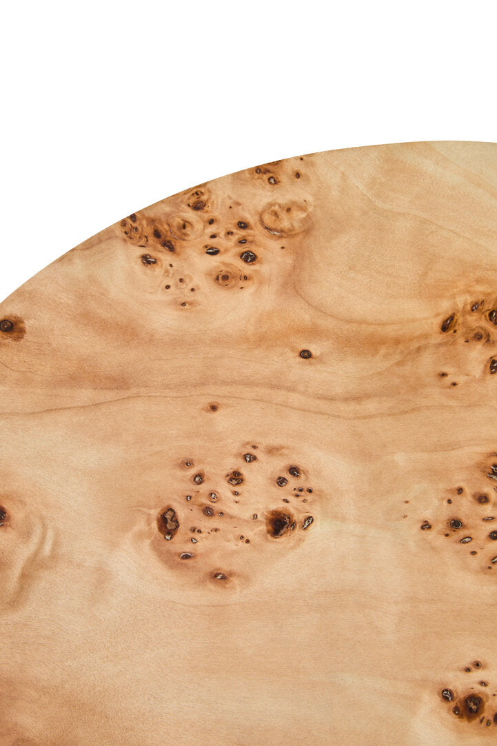 Mota Burl Wood Round Side Table for Workspace – Sculptural Accent Table with Drum Shape